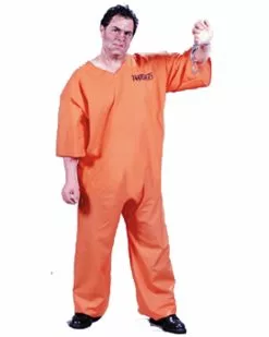 Mens Plus Size Got Busted Costume
